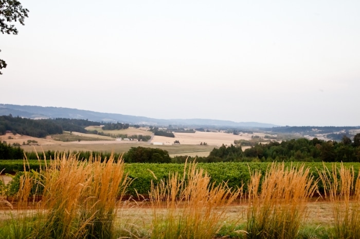 Portland - Dinner at Penner-Ash Wine Cellars