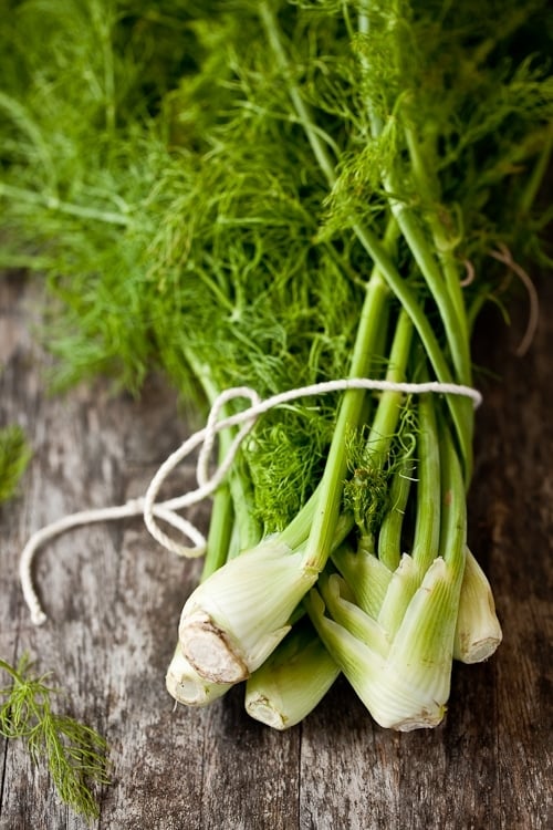 Baby Fennel