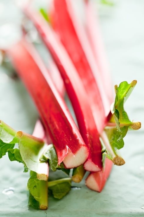 Rhubarb Still