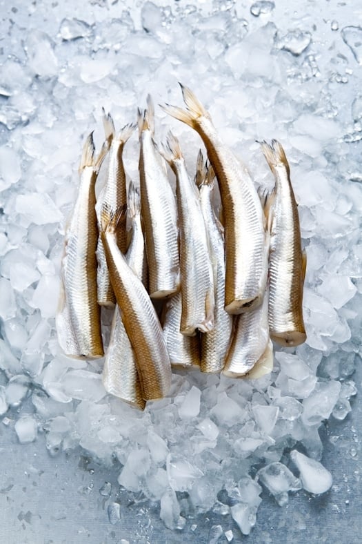 Smelts