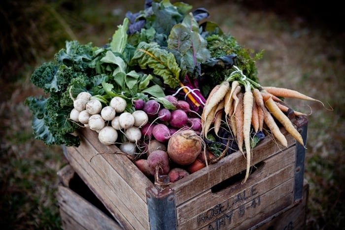 Veggie Box 